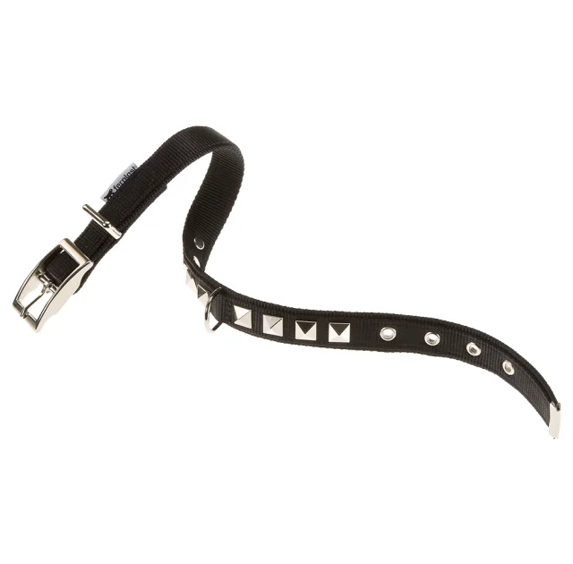 Нейлоновий нашийник Ferplast Dual CF25 / 43 Colours Black для собак, 25 мм, A: 37 ÷ 45 см