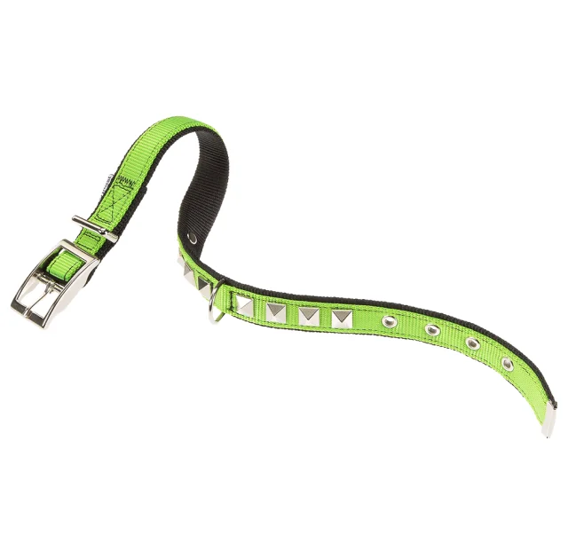 Нейлоновий нашийник Ferplast Dual CF25 / 43 Colours Green-Black для собак, 25 мм, A: 37 ÷ 45 см