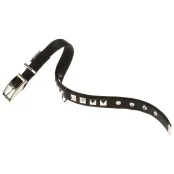 Нейлоновий нашийник Ferplast Dual CF25 / 53 Colours Black для собак, 25 мм, A: 45 ÷ 53 см