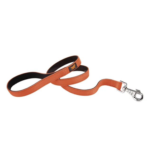 Нейлоновий поводок Ferplast Dual G25 / 110 Colours Orange для собак, 25 мм, 110 см