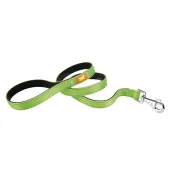 Нейлоновий поводок Ferplast Dual G25 / 110 Colours Green для собак, 25 мм, 110 см