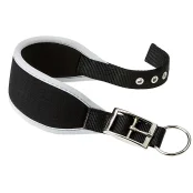 Ошейник Ferplast Ergocomfort CW15/32 Grey для собак, A: 26÷32 см, B: 15 мм