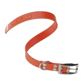 Эластичный ошейник Ferplast Ergoflex CF24/45 Orange для собак, A: 37÷45 см, B: 24 мм