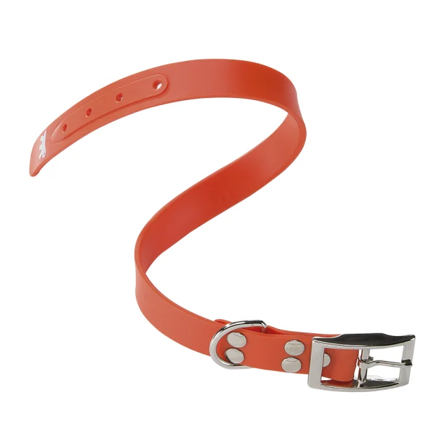 Эластичный ошейник Ferplast Ergoflex CF24/53 Orange для собак, A: 45÷53 см, B: 24 мм
