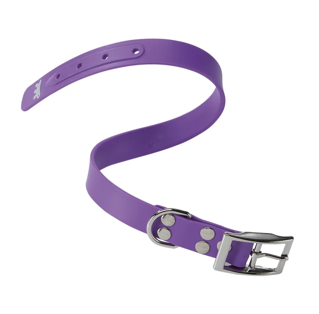Эластичный ошейник Ferplast Ergoflex CF24/53 Purple для собак, A: 45÷53 см, B: 24 мм