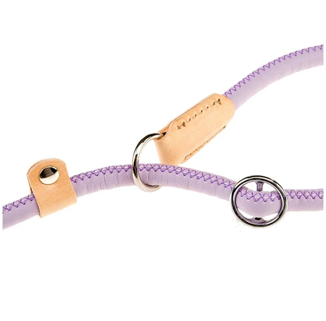Поводок з нашийником з еко-шкіри Ferplast Derby GC10 / 160 Purple для собак, 10 мм, 160 см