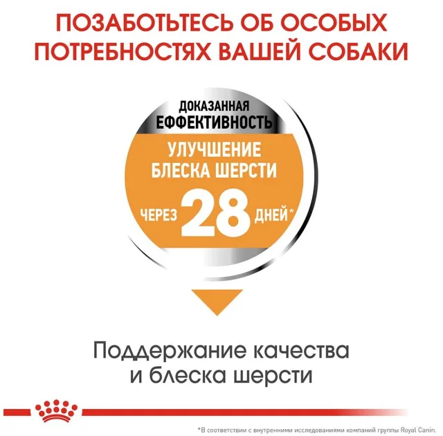 Сухий корм Royal Canin Mini Coat Care для собак дрібних порід з тьмяною і сухий шерстю, 1 кг