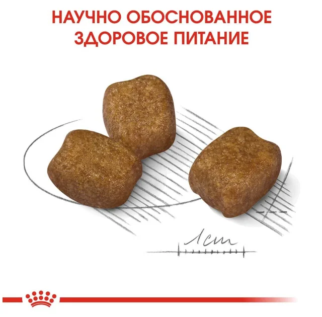 Сухий корм Royal Canin Mini Dental Care для зменшення утворення зубного каменю у собак дрібних порід, 3 кг