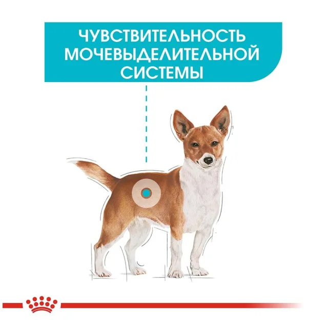 Сухий корм Royal Canin Mini Urinary Care для собак дрібних порід з чутливою сечовидільної системою, 3 кг