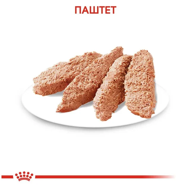 Вологий корм Royal Canin Dermacomfort для собак з чутливою шкірою, паштет, 85 г