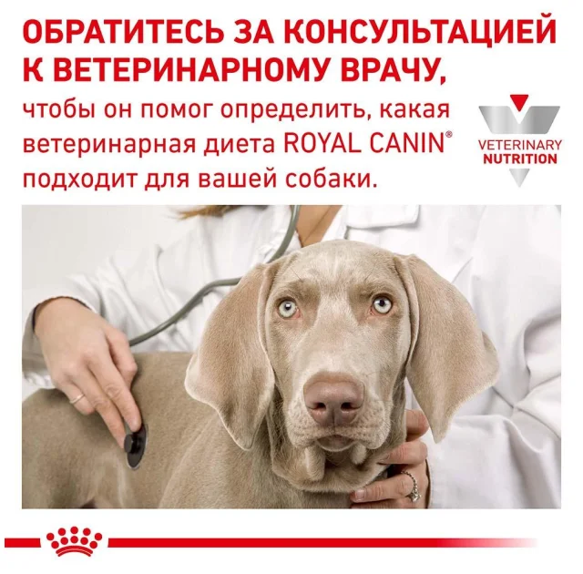 Сухий корм Royal Canin Urinary S / O Moderate Calorie при сечокам'яній хворобі у собак, 12 кг
