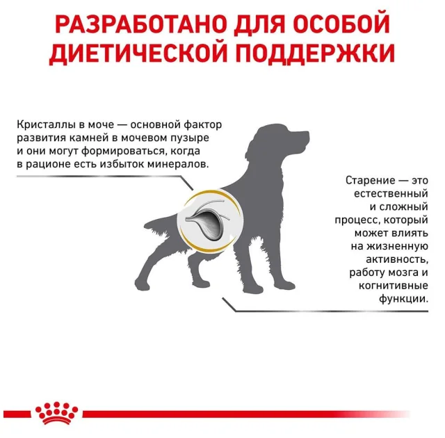 Сухий корм Royal Canin S / O Ageing 7 + для собак від 7 років, 8 кг