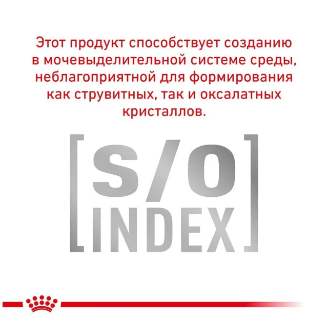 Вологий корм Royal Canin Urinary S / O Ageing 7 + при сечокам'яній хворобі у собак старше 7 років, 85 г