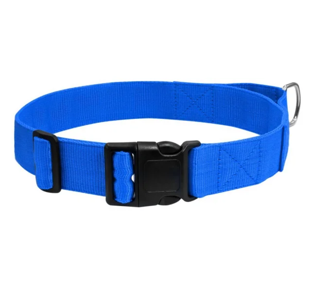 Нейлоновый ошейник с ручкой Dog Extreme для собак, регулируемый, 40 мм, 55-75 см, голубой