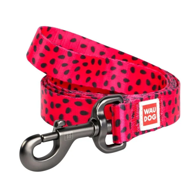 Поводок Waudog Nylon с рисунком Арбуз для собак 25 мм, 122 см