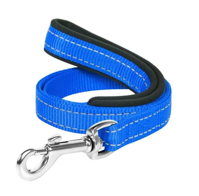 Нейлоновый поводок Dog Extreme с прорезининой ручкой для собак 20 мм, 122 см, голубой