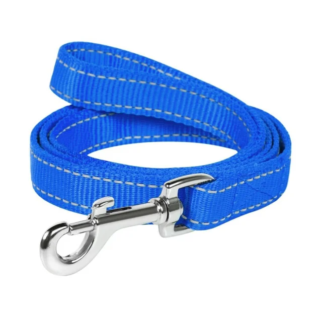 Нейлоновый поводок-перестежка Dog Extreme, двойной для собак 25 мм, 122 см, голубой
