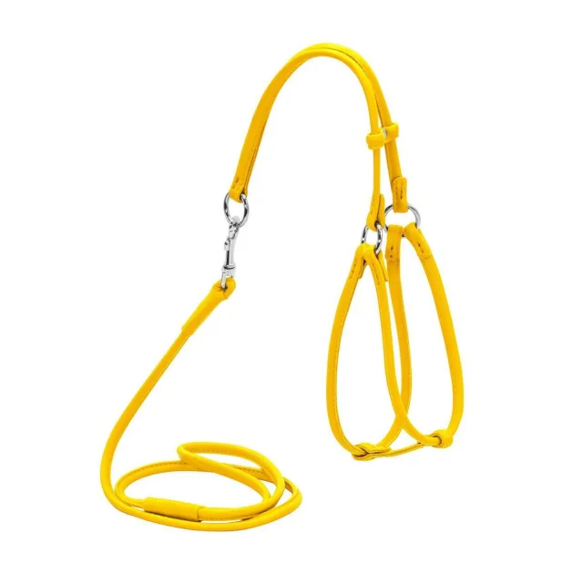 Шлея с поводком Waudog Glamour №1 круглая для кошек и мелких собак 6 мм, 105 см, желтый