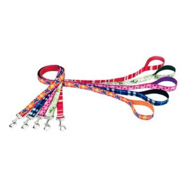 Поводок Coastal Pet Attire Weave для собак, бабочка, 1×1.2 м