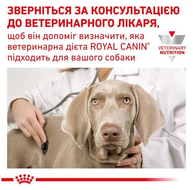 Сухой корм Royal Canin Skin Support при дерматозах и выпадении шерсти у собак, 7 кг