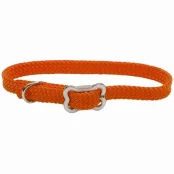 Нейлоновий нашийник Coastal Sunburst для собак, помаранчевий, 1×30 см