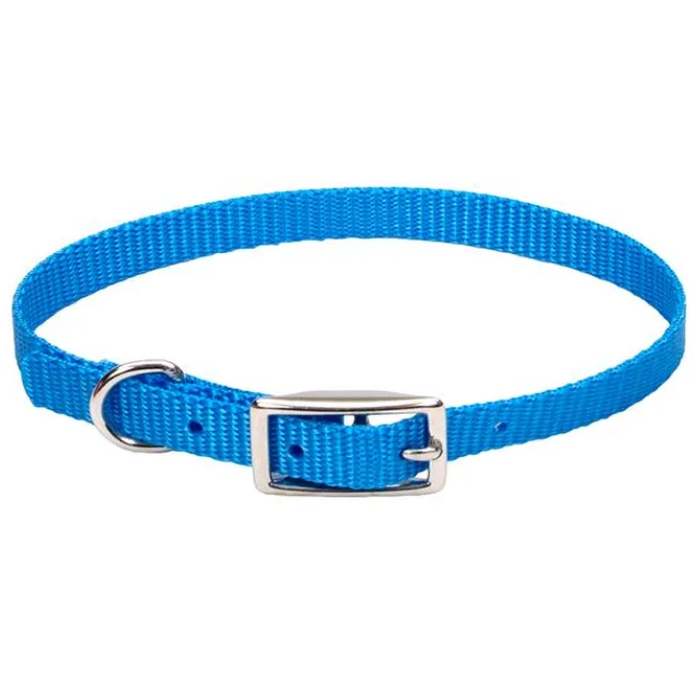 Ошейник Coastal Nylon Web для собак, голубой, 1×25 см