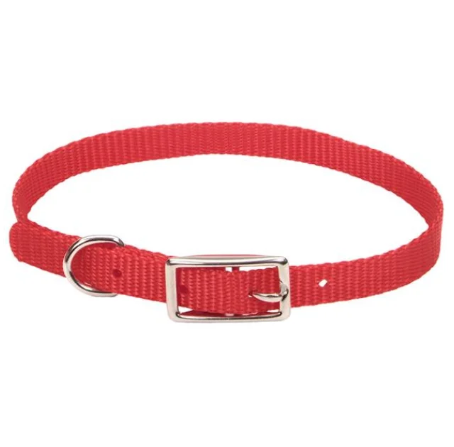 Ошейник Coastal Nylon Web для собак, красный, 1×30 см