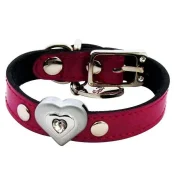 Ошейник Shiboo Heart-to-Heart Clear для собак, розовый, 25 см/1.5 см