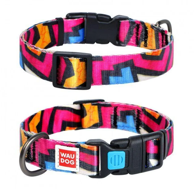 Нашийник Waudog Nylon з малюнком "Графіті" ширина 25 мм, довжина 35-58 см