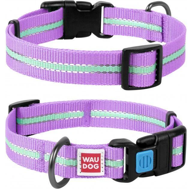 Ошейник Waudog Nylon светонакопительный, ширина 25 мм, длина 31-49 см, фиолетовый