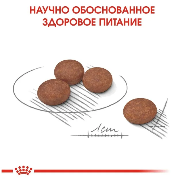 Сухий корм Royal Canin Mini Digestive Care при чутливому травленні у собак дрібних порід, 1 кг