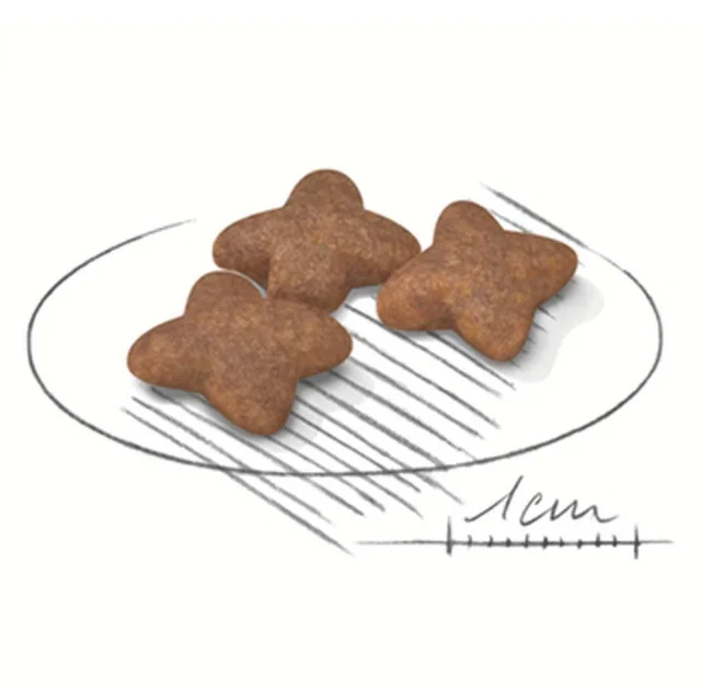 Сухой корм Royal Canin Mini Adult 8+ для собак мелких пород старше 8 лет, 2 кг