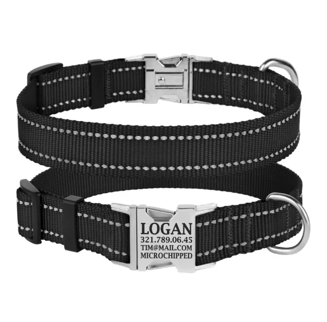 Ошейник нейлоновый BronzeDog Active для собак, со светоотражением, 25 мм/35-45 см, черный, 34Т