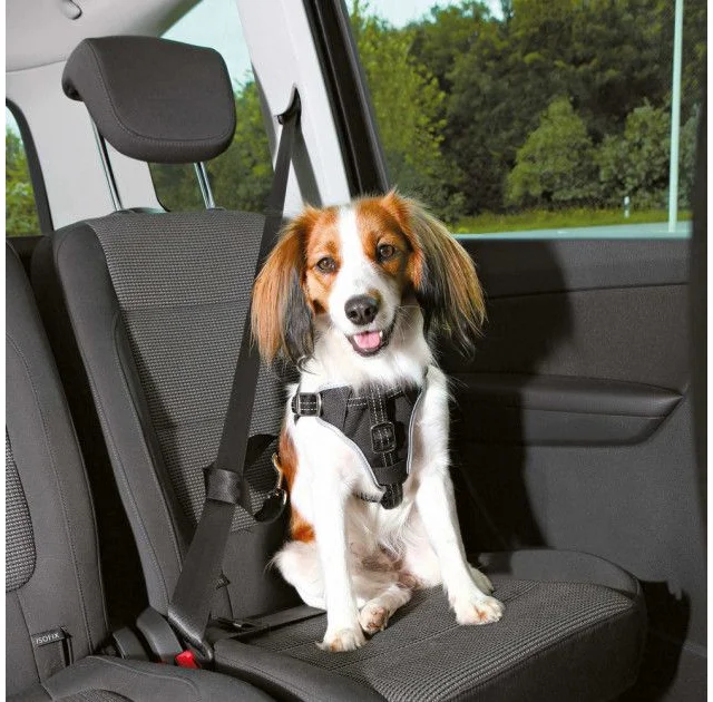 Шлея захисна Trixie Dog Protect XL для собак, в авто, 80 - 100 см х 23 мм, нейлон, чорний