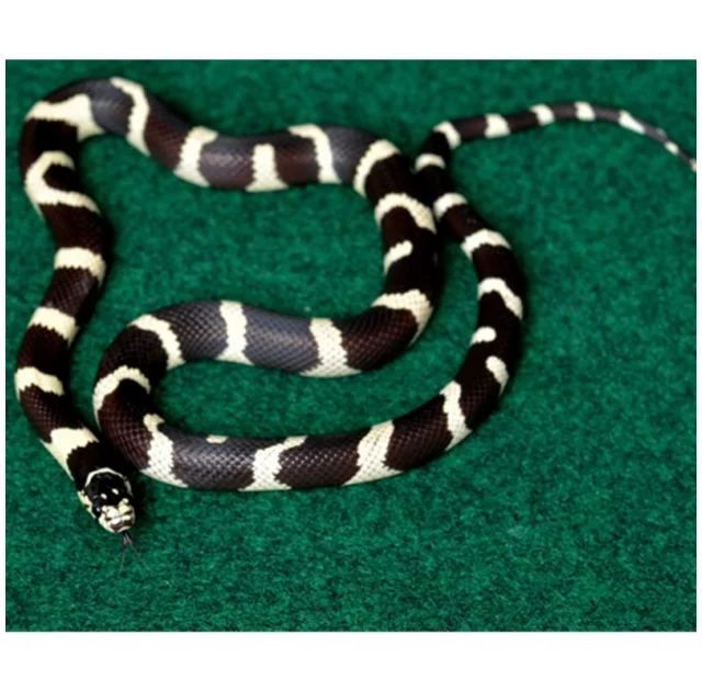 Килимок-субстрат Komodo Reptile Carpet, 60x50 см