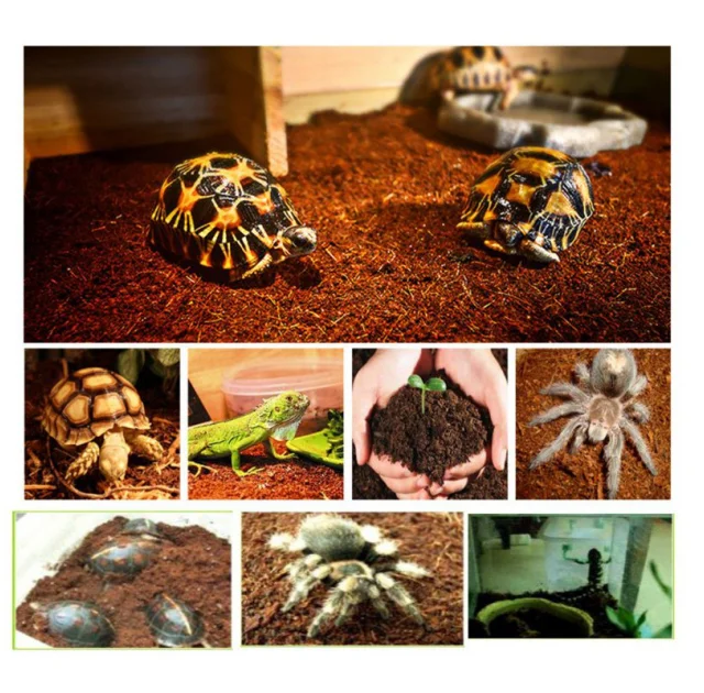 Субстрат тропічний Komodo Tropical Terrain, 6 л