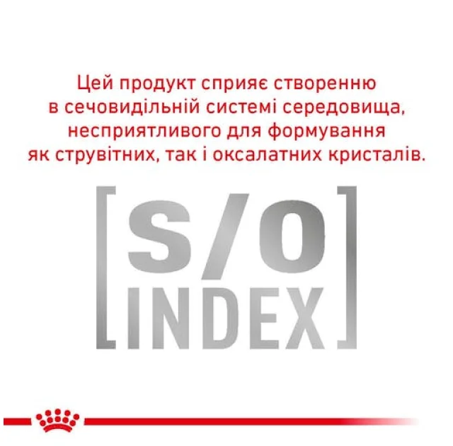 Сухий корм Royal Canin Skin & Coat при дерматозе і випаданні шерсті у котів, 400 г