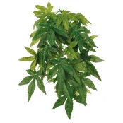 Рослина для тераріуму Trixie - Abutilon, 20х50 см