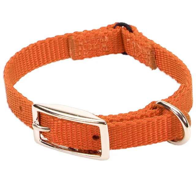 Безпечний нашийник Coastal Nylon Web для кішок, апельсиновий, 1 × 20 см
