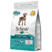 Сухий корм Schesir Dog Large Puppy з куркою, для цуценят великих порід, 12 кг