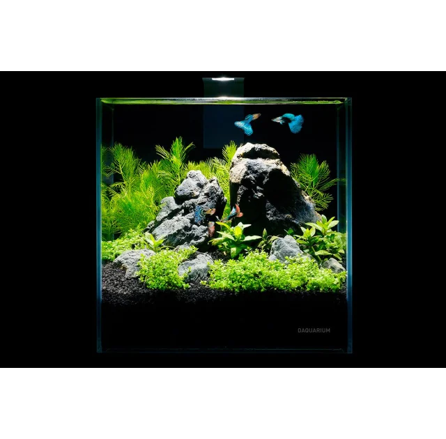 Аквариумный набор Pico Set, 5 л