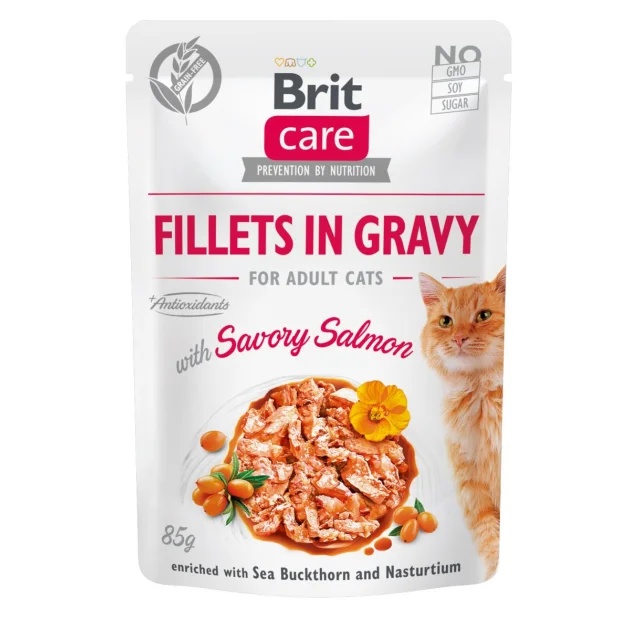 Влажный корм Brit Care Cat, для кошек, филе в соусе с лососем, 85 г