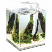 Акваріум для креветок AQUA EL SMART 2.0 / Day & Night, 10 л, білий