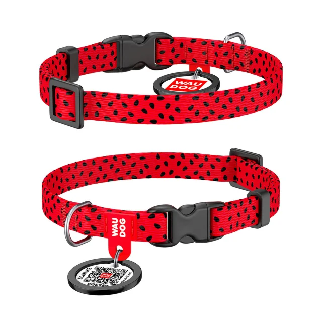Нашийник WAUDOG Nylon з QR паспортом, малюнок "Кавун" ширина 10 мм, довжина 20-30 см