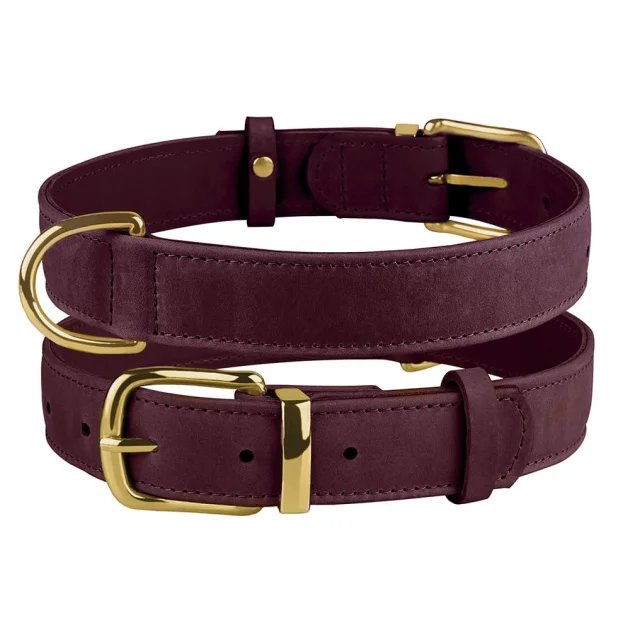 Ошейник BronzeDog Crazy, для собак, кожаный, бордовый, 19-25×1 см