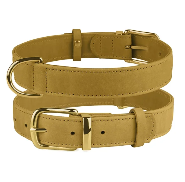 Ошейник BronzeDog Crazy, для собак, кожаный, горчичный, 19-25×1 см