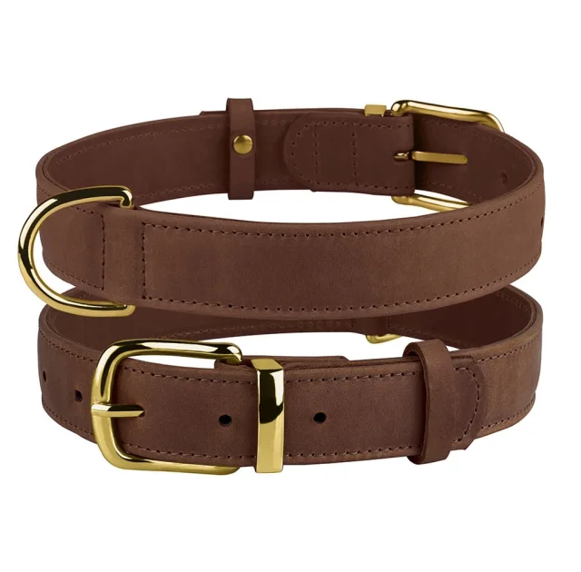 Ошейник BronzeDog Crazy, для собак, кожаный, коньяк, 19-25×1 см