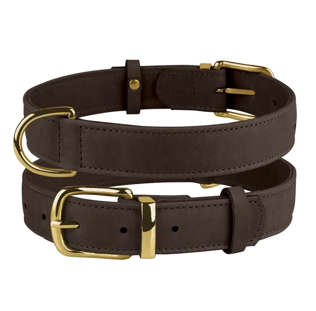 Ошейник BronzeDog Crazy, для собак, кожаный, тёмно-коричневый, 38-49×2.5 см