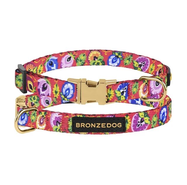 Ошейник BronzeDog Urban Folk, для собак и кошек, нейлоновый, фастекс металлический, коралловый, 18-28×1 см