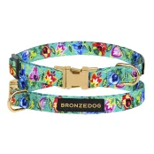 Ошейник BronzeDog Urban Folk, для собак и кошек, нейлоновый, фастекс металлический, ментоловый, 18-28×1 см